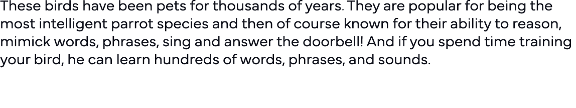 These birds have been pets for thousands of years  They are popular for being the most intelligent parrot species and   