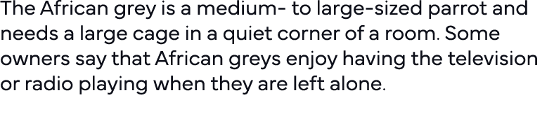 The African grey is a medium- to large-sized parrot and needs a large cage in a quiet corner of a room  Some owners s   