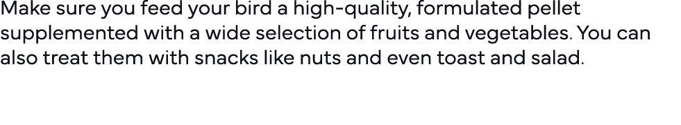 Make sure you feed your bird a high-quality, formulated pellet supplemented with a wide selection of fruits and veget   