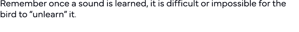 Remember once a sound is learned, it is difficult or impossible for the bird to  unlearn  it  
