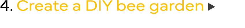 4  Create a DIY bee garden 
