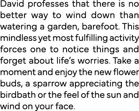David professes that there is no better way to wind down than watering a garden, barefoot  This mindless yet most ful   