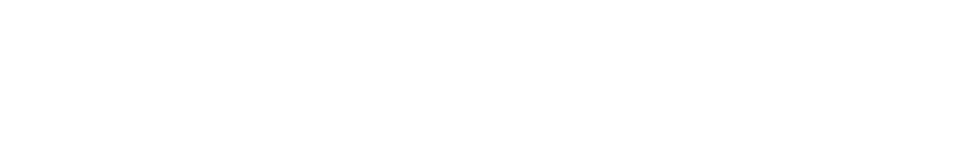 If you are looking for a reptile that is less scary than a snake   a bearded dragon makes for a wonderful first-time    