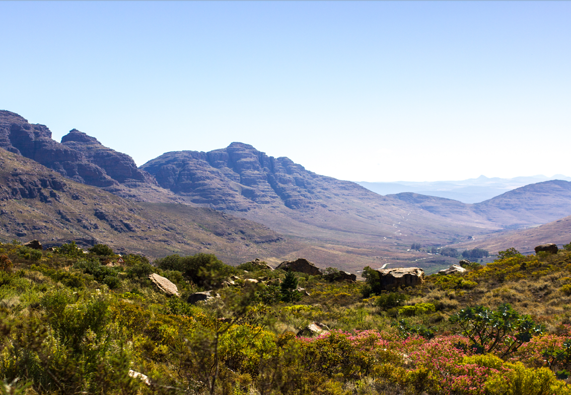 Beautiful Fynbos Mountain View With A Clear Blue Sky