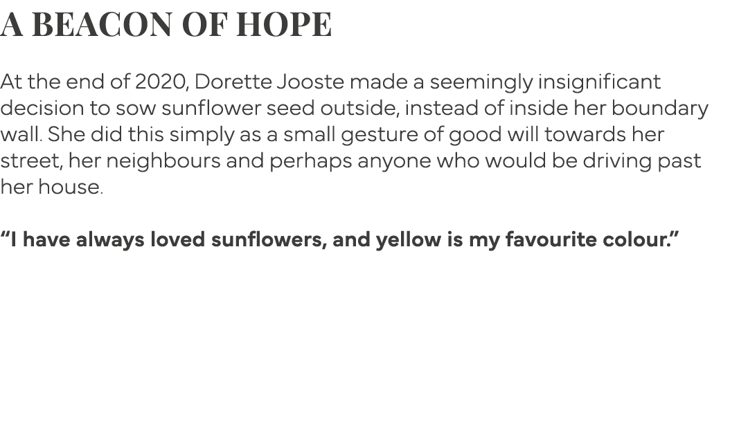 A beacon of hope  At the end of 2020, Dorette Jooste made a seemingly insignificant decision to sow sunflower seed ou   
