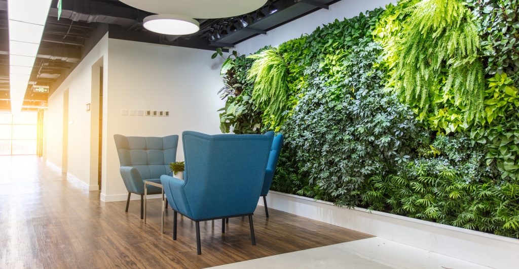 living green wall