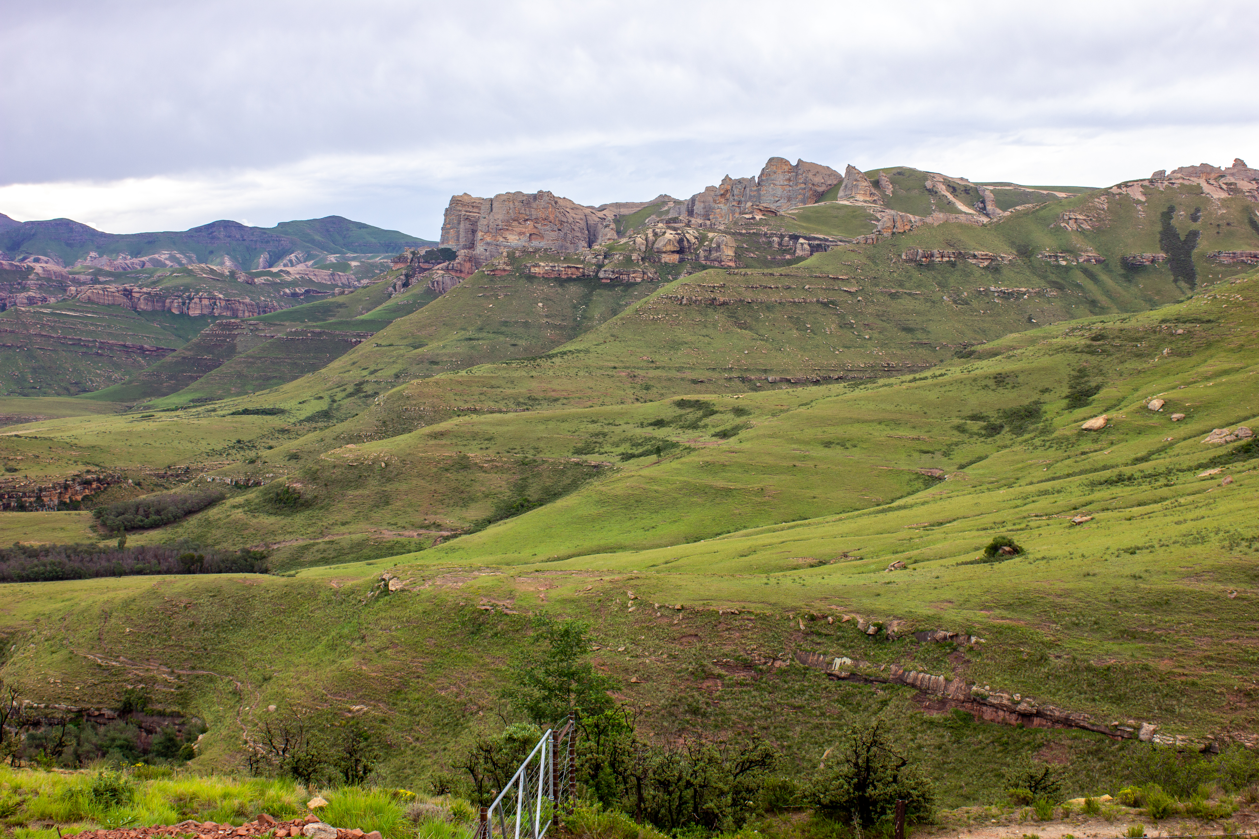 Road Tripping - Mountain Pass