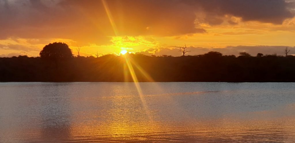 kruger national park