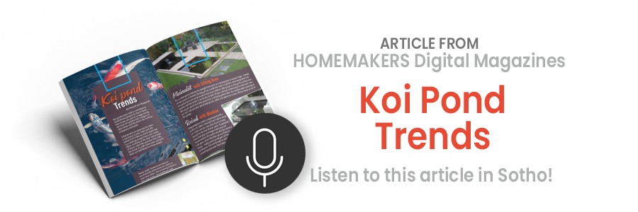 Koi Pond Trends