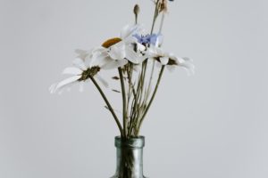 annie-spratt-9BapMFygbRs-unsplash