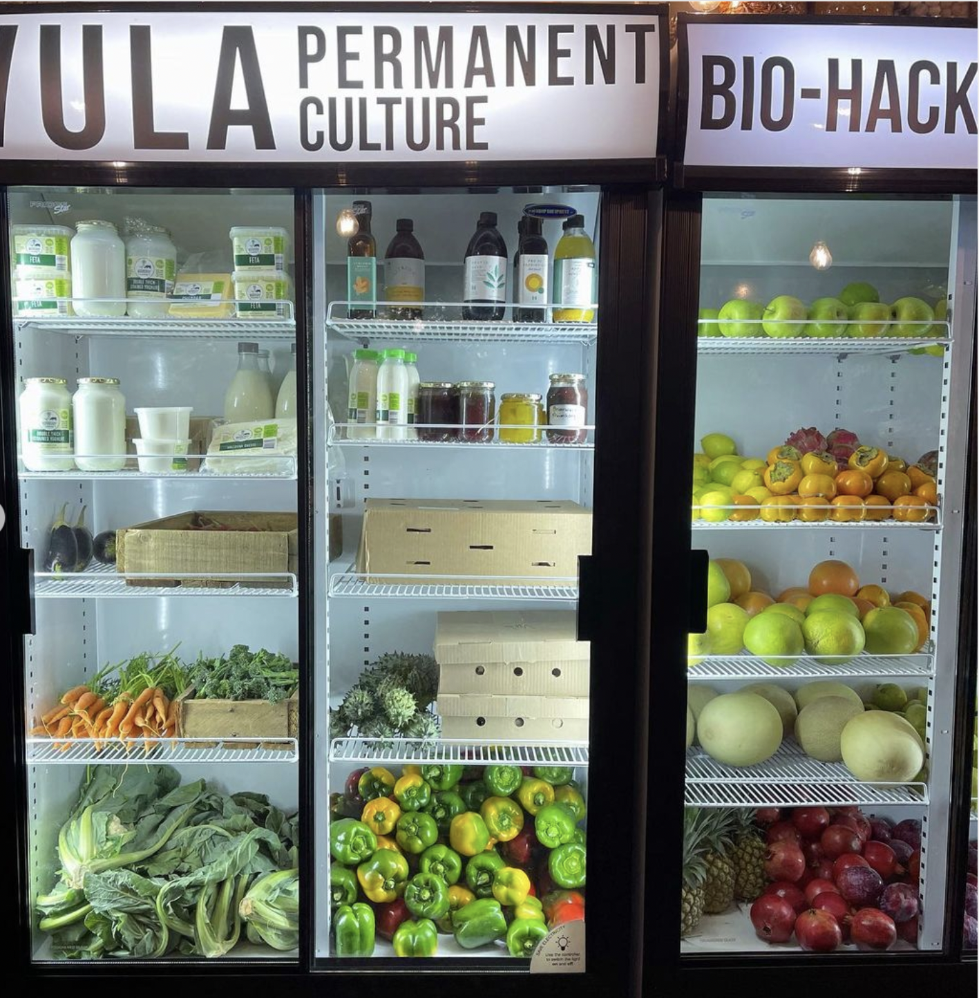 A Karoo Farmer’s Future 1 karoo farmer