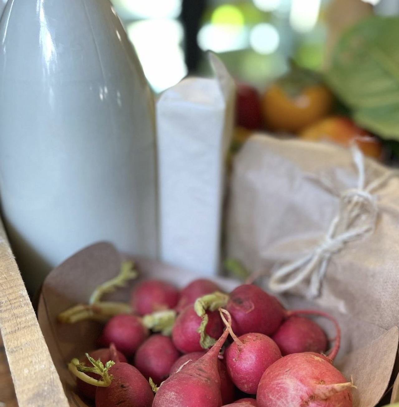 A Karoo Farmer’s Future 2 karoo farmer future