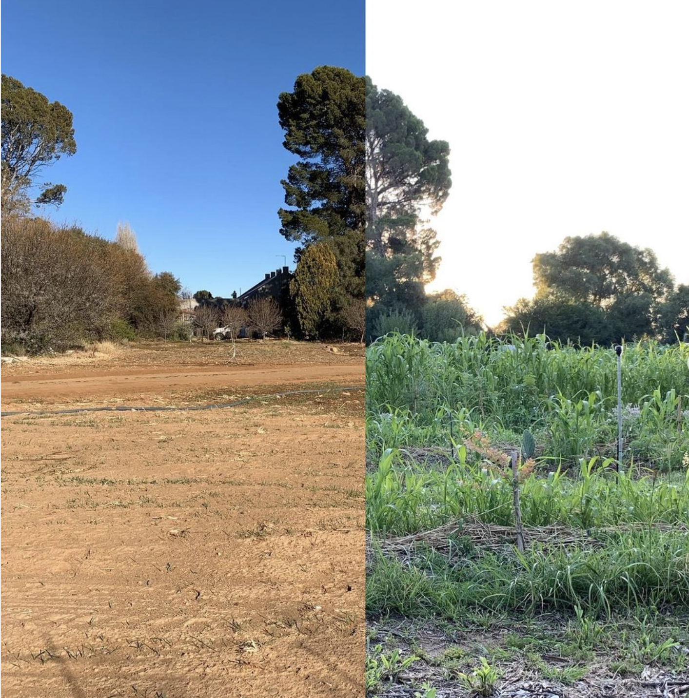 A Karoo Farmer’s Future