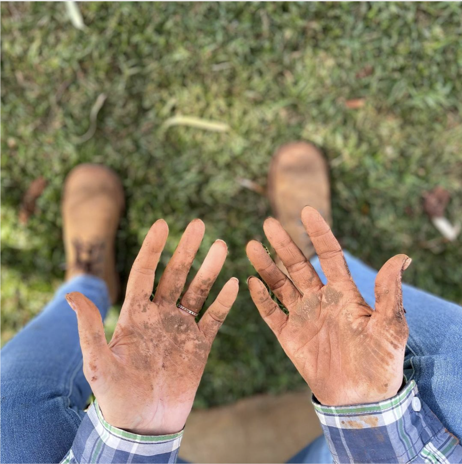 A Karoo Farmer’s Future3 karoo farmer