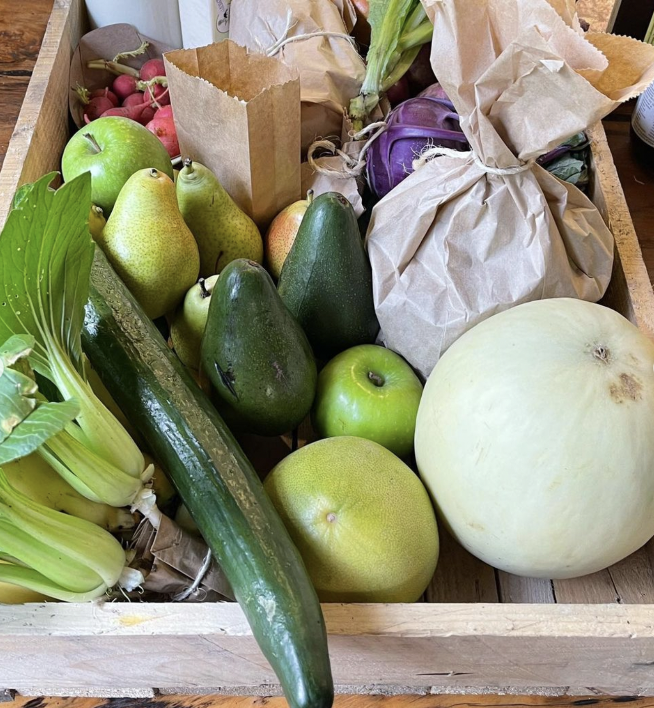 cornel strydom farming karoo karoo farmer