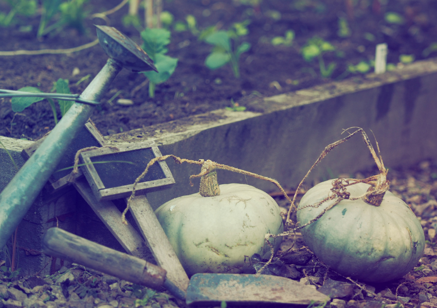 garden downtime