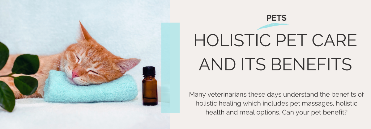 Aug w3 long web banner - pet massages