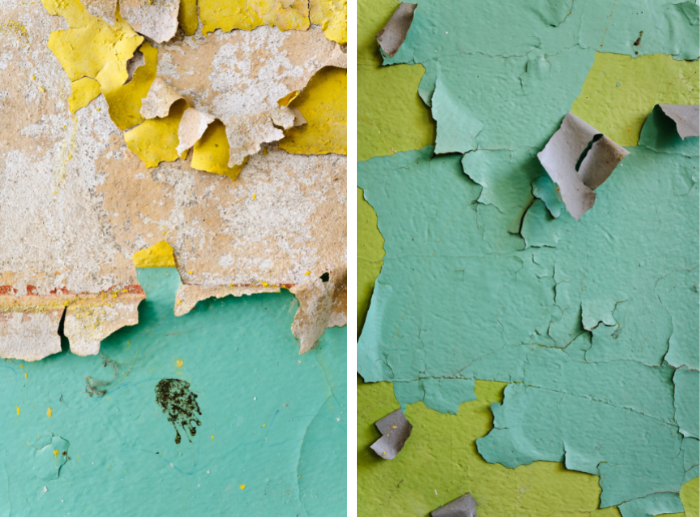 1 diagnose your home