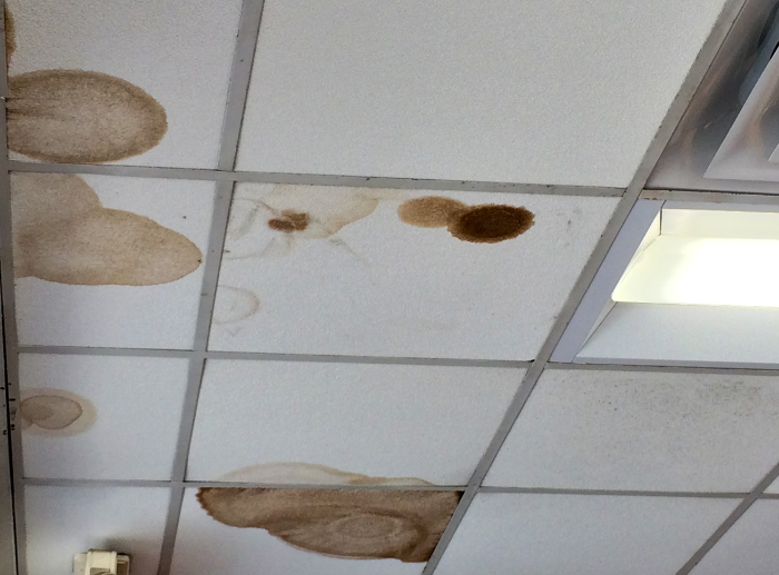 2 diagnose your home