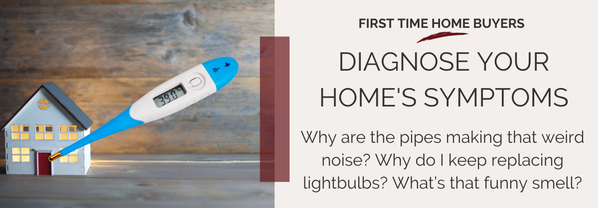 Oct w2 long web banner - diagnose your home diagnose your home