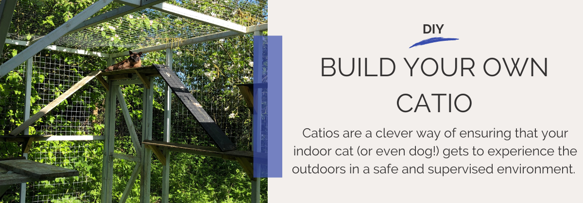 DIY catio