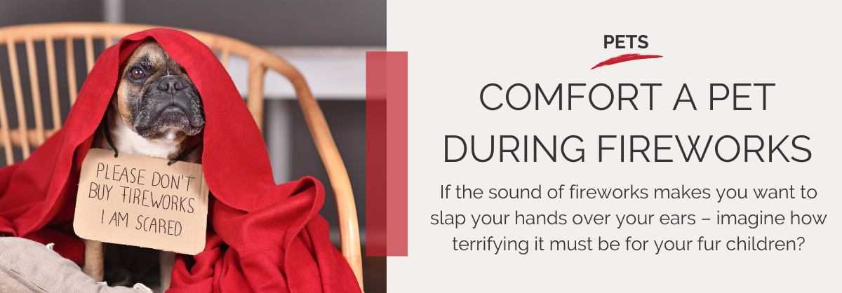 Oct w4 long web banner - pet fireworks fireworks