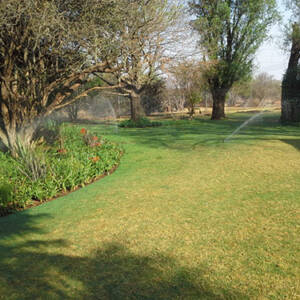 Rainbow Irrigation 01