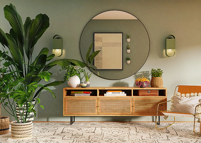 Houseplants Taking care of house plants