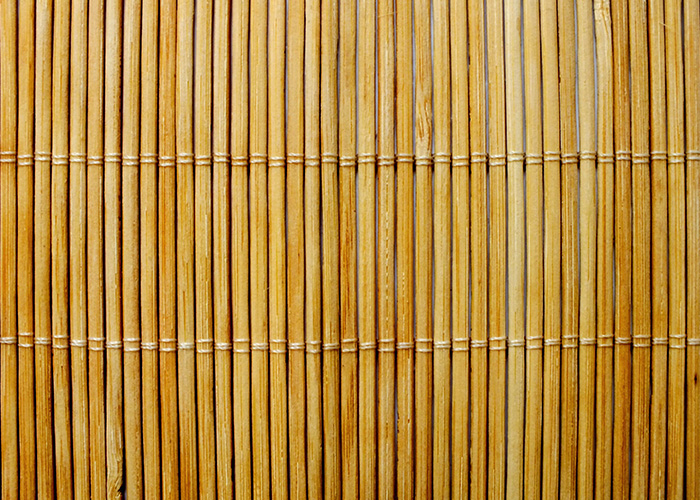 Bamboo how to use in garden