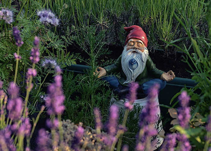 Gnome 1 Smash the damn gnome