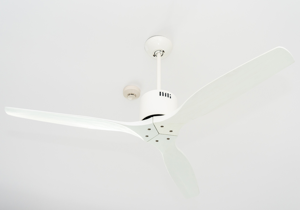 ceiling fan installers