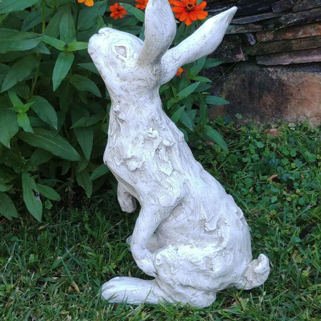 hares-and-graces-special hares and graces