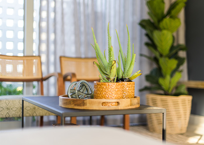 Lalela Showhouse 1 Lalela Showhouse decor on a budget