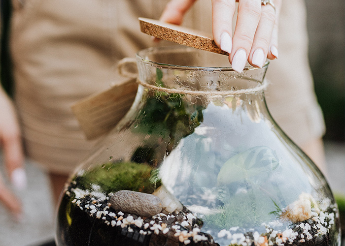 DIY Terrarium