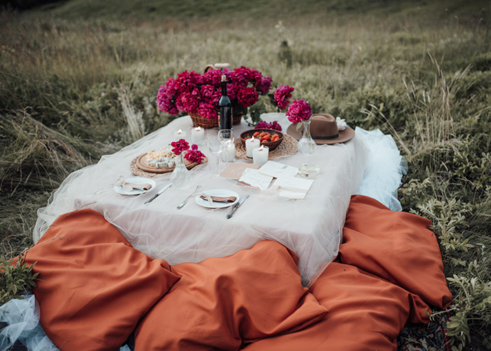 Valentines Picnic