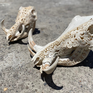 Beautiful Horns (4)