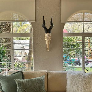 Beautiful Horns (5)