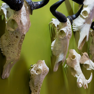 Beautiful Horns (7)