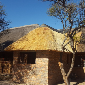 Thatch Galore (8)