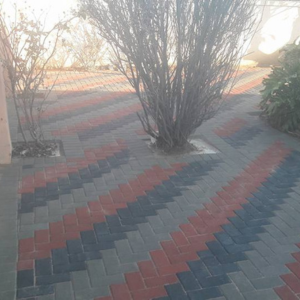 Willies (4) Willies (4)