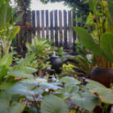 Planting and Enjoying a Sanctuary Garden